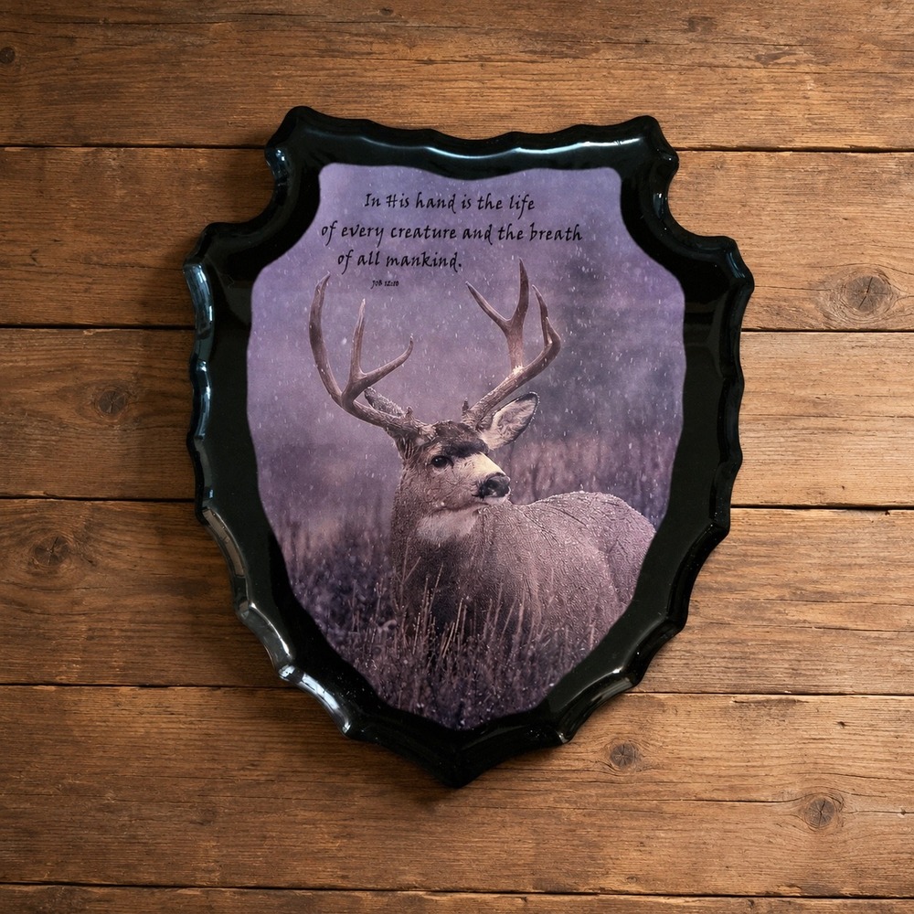 Vintage Deer Buck Wildlife Wall Plaque Job 12:10 Scripture Wood Shield 11x9.5